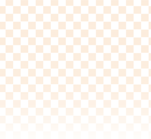 bg_check