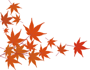bg_momiji03