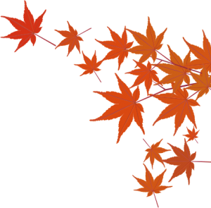 bg_momiji04